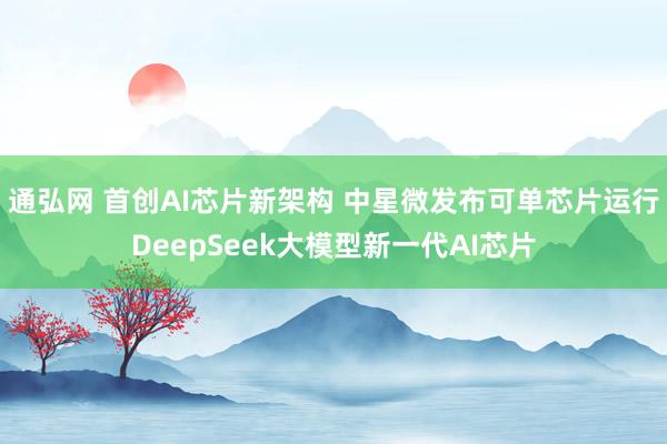 通弘网 首创AI芯片新架构 中星微发布可单芯片运行DeepSeek大模型新一代AI芯片