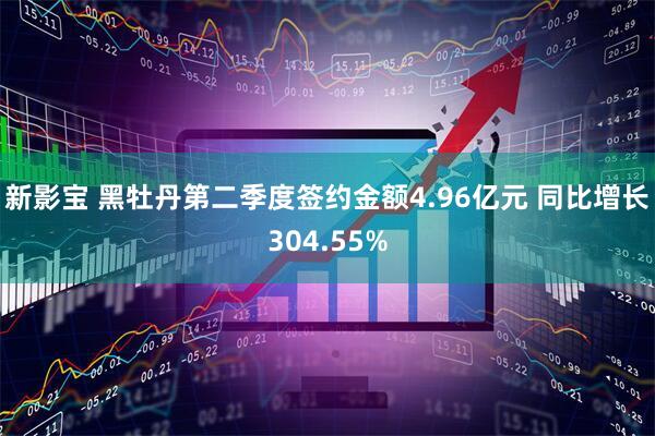 新影宝 黑牡丹第二季度签约金额4.96亿元 同比增长304.55%